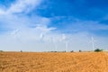 Electrical Eco power maker wind turbine in cassava farm