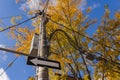 Electrical equipment and communication cables mounted on a utility pole surrounded by autumn trees under a clear blue Royalty Free Stock Photo