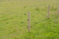 Electrical fence and post in a field.. Royalty Free Stock Photo