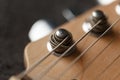 Electrical guitar headstock, machine heads and metal strings closeup. Electric guitar black and white color, detail. Music instrum