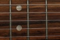 Electrical guitar neck, fretboard and metal strings closeup. Electric guitar black and white color, detail. Music instruments