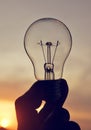 Electrical light bulb in hand. Royalty Free Stock Photo