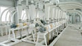 Electrical mill machinery for the production of wheat flour. Grain equipment. Grain. Agriculture. Industrial