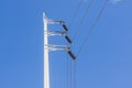 Electrical poles on white cloud and blue sky.