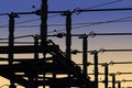 Electrical Power Grid in Silhouette Royalty Free Stock Photo