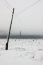 Electrical power lines with hoarfrost on the wooden electric poles on countryside in the winter Royalty Free Stock Photo