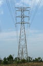 ELECTRICAL PYLON IN NATURAL SETTING Royalty Free Stock Photo