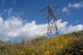 Electrical pylon tower against blue sky, in a field of poppies at Walker Canyon in California Royalty Free Stock Photo