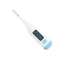 Electrical thermometer