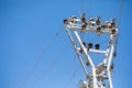 Electrical tower close-up with copy space for text, with clear blue sky in the background. High voltage power line and electricity Royalty Free Stock Photo