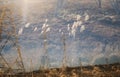 Double Exposure of Pylon and field Herbs