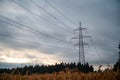 Electrical tower and wires running above golden wheat field Royalty Free Stock Photo