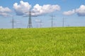 Electrical towers on a spring meadow