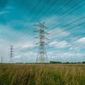 Electrical transmission lines over green grass, nature and technology blend