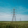 Electrical transmission lines over green grass, nature and technology blend