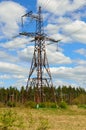 Electrical transmission pylon in the field. Royalty Free Stock Photo