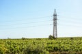 Electrical wire and big pillar at sunset in Moldova Royalty Free Stock Photo