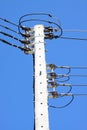 Electrical wire on pole. chaotic wire with nest on pole and blue sky background. Royalty Free Stock Photo