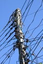 Electrical wire on pole. chaotic wire with nest on pole and blue sky background. Royalty Free Stock Photo