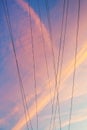 Electrical wires with pink sunset clouds