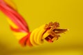 Electrical wires on yellow background, closeup view Royalty Free Stock Photo