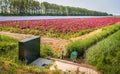 Electrically powered weir for water management