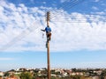 the electrician changes the lights on the lampposts