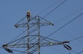 Electrician climb high, work on electric pole.