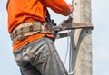 Electrician climb working in the height on the pole with safety belt