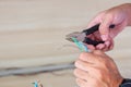 Electrician cuts electrical wires with pliers, Wiring cables installation for socket plug. Fixing, Renovation, Repair, service and Royalty Free Stock Photo