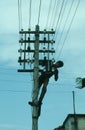 Electrician repairs a wire of the power line