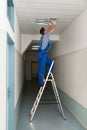 Electrician on stepladder installs lighting to the ceiling Royalty Free Stock Photo