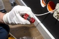 An electrician in white gloves is installing a network cable for the RJ45 module to the computer socket in the room.