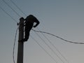 Electrician works in special clothes on the pole