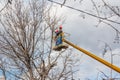 electricians clean electric wires do tree Royalty Free Stock Photo