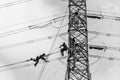 Electricians Hanging Tower Cables Black White