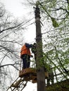 Electricians repair electrical wires and lantern. Workers carry out repair of the electrical circuit at a height. People repair