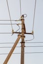 Electricity concept, concrete pole with high voltage wires on insulators. Royalty Free Stock Photo