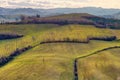 Electricity distribution line in cultivated fields Royalty Free Stock Photo