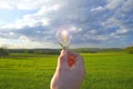 Electricity and green energy.Light bulb in hand on blue sky and green field background.Alternative natural energy Royalty Free Stock Photo