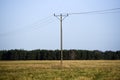 Electricity grid on the background of a meadow and blue sky in P