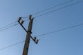 Electricity pole on blue background