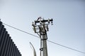 Electricity pole. Electrical wire. Concrete pillar