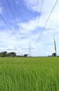 Electricity post Royalty Free Stock Photo