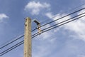 Electricity post Blue sky