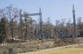 Electricity Power Grid Construction in the Forest