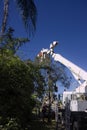 Electricity power workers replacing pole.