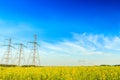 Electricity powerlines in rapeseed field Royalty Free Stock Photo
