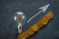 electricity prices in Europe.Saving electricity concept.Electricity cost.Light bulb and euro coins on black chalk board