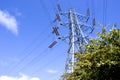 Electricity pylon above trees